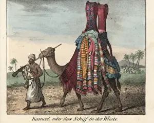 Blankets Prints: Tibbo man with musket leading a camel laden