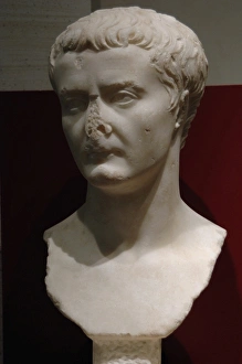 Tiberius (Tiberius Julius Caesar) Roman Emperor