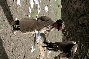 Equus Prints: Tibetan horse minder