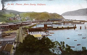 Coastline Collection: Tiburon, Marin County, California, USA