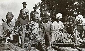 Tiger Collection: Tiger Hunt In India Taken With A 3a Folding Pocket