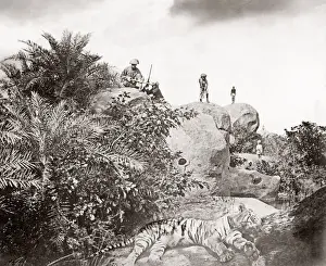 Coolie Prints: Tiger hunt series by Colonel Willoughby Wallace Hooper, 1837-1912, photographed 1870 s