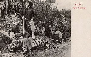 Shotgun Gallery: Tiger Hunting in Malaya