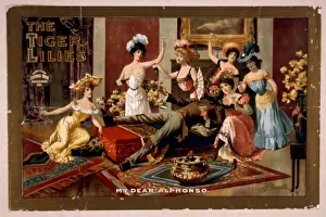 The tiger lilies