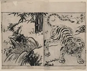 Cataract Prints: Tiger near a cataract