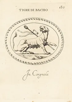 Carnelian Prints: Tiger representing Bacchus, Roman god of wine