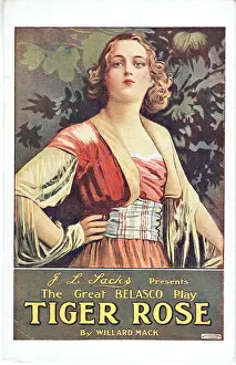 Mack Prints: Tiger Rose by Willard Mack