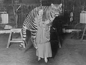 Tiger Gallery: Tiger Trainer 1930S