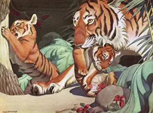 Tigers