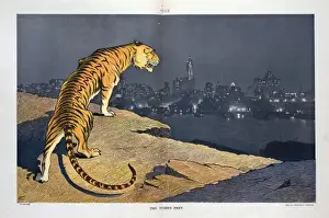 The tigers prey