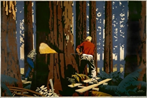 Timber from Canada