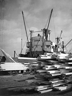 Images Dated 9th September 2011: Timber at Hull Docks