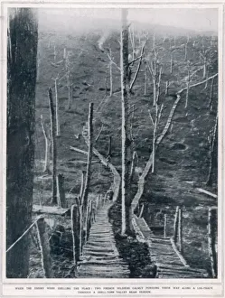 Verdun Prints: Timber roads on the battlefields near Verdun