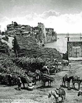 Timber stack on quayside, Istanbul, Turkey
