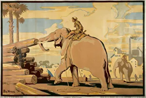 Adverts Gallery: Timber stacking