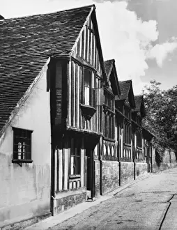 Timbered Houses