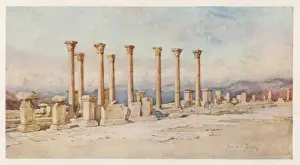 Preservation Prints: Timgad Ruins - Forum