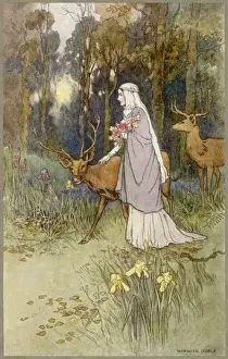 Timid Prints: Timid Dun Deer & Woman