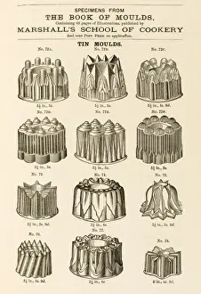 Standards Prints: TIN MOULDS