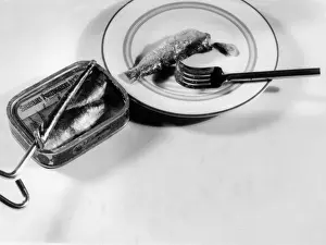 Opener Prints: Tin of Sardines