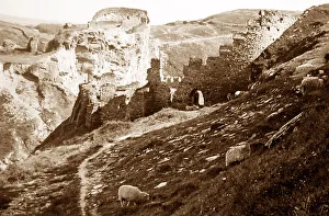 Tintagel castle