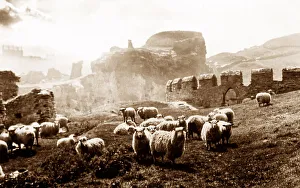 Tintagel Castle