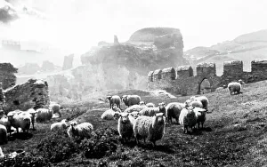 Tintagel Prints: Tintagel Castle, early 1900s
