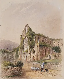 Tintern Abbey