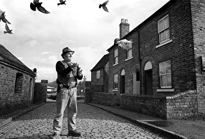 Images Dated 26th March 2019: Tipler pigeons - 02