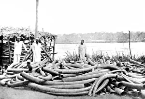 Controlled Prints: Tippoo Tibs Ivory Store at Stanley Falls, Lualaba River, c