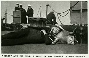 Images Dated 18th October 2017: Tirpitz the pig: naval mascot of HMS Glasgow, WW1