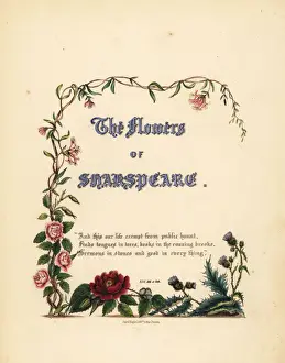 Honeysuckle Prints: Title page with calligraphic title and floral vignette