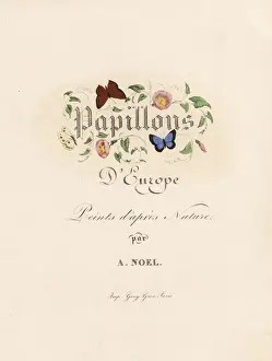 Title page with decorative calligraphy among