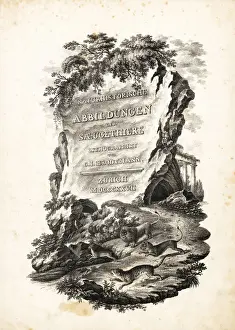 Title page from Illustrated History of Natural Animals, 1827