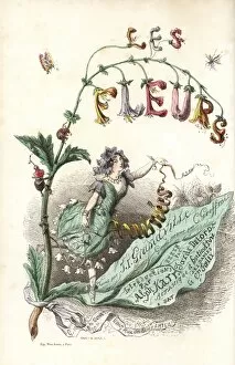 Title page with illustration of flower fairy