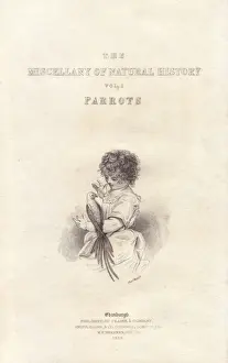Parrots Prints: Title page with steel engraving by Charles