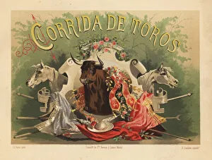 Casanova Gallery: Title page with vignette of bull, picador