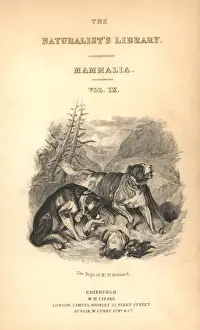 Unconscious Prints: Title page with vignette of St Bernard dogs