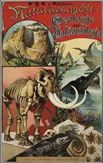 Skeletons Prints: Title page with vignettes of dinosaurs, skeletons