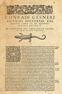 Amphibia Prints: Title page of the volume on oviparous quadrupeds