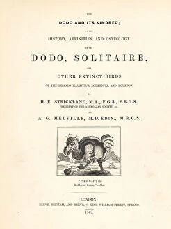 Dodo Gallery: Title page with Willem Ysbrantsz Bontekoe s