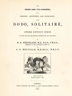 Melville Gallery: Title page with Willem Ysbrantsz Bontekoe s