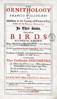 Images Dated 30th August 2012: Title page of Willughbys Ornithology