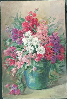 Arrangement Collection: No title or Stocks'. Flowers in vase