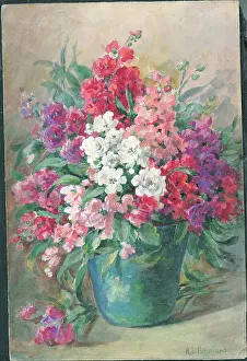 Stocks Collection: No title or Stocks'. Flowers in vase