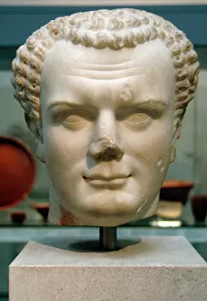 Augustus Gallery: Titus (39-81 AD). Roman Emperor. Bust. Marble