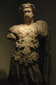 Flavian Collection: Titus (39-81). Roman Emperor