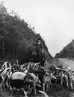 Fox Hunting Collection: Tiverton Stag Hounds alongside a road