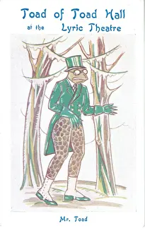 Toad of Toad Hall by A A Milne