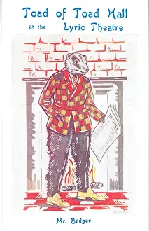 Toad of Toad Hall by A A Milne